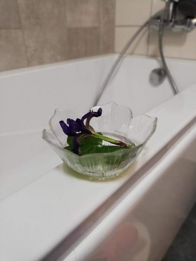 Apartmán Froja Zator Exteriér fotografie